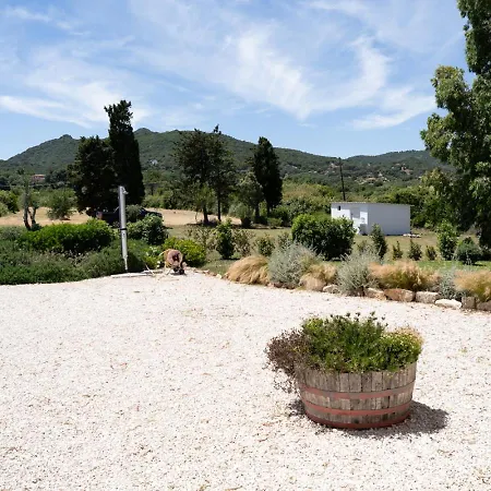 Casa vacanze - Alebea -