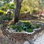 - Alebea - Olbia