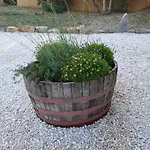 - Alebea - * Olbia