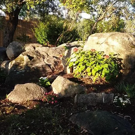 - Alebea - Όλμπια