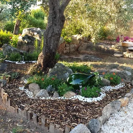 - Alebea - Όλμπια