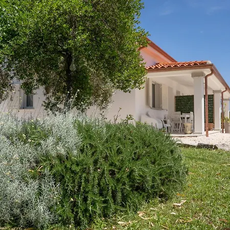 Σπίτι διακοπών - Alebea - *