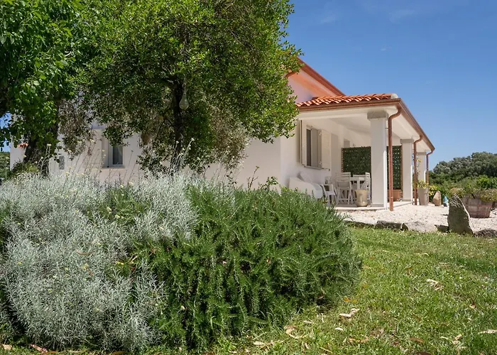 Holiday home - Alebea - *