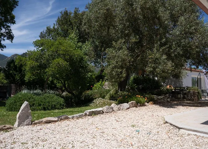 Holiday home - Alebea -